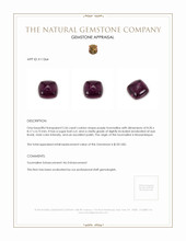 2.56 Ct. Tourmaline from Mozambique Appraisal
