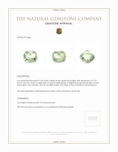 3.56 Ct. Tourmaline from Mozambique Appraisal