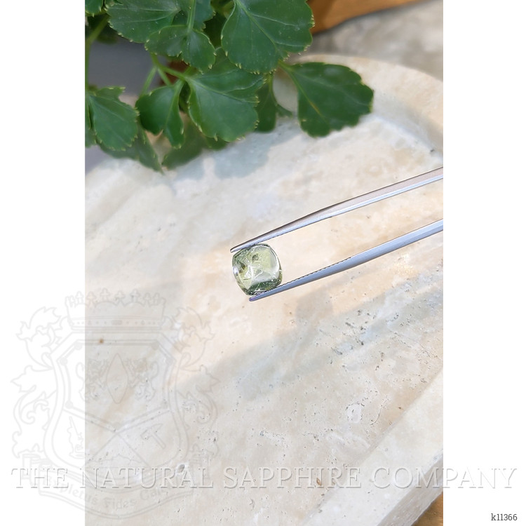 3.56 Ct. Cabochon Tourmaline from Mozambique