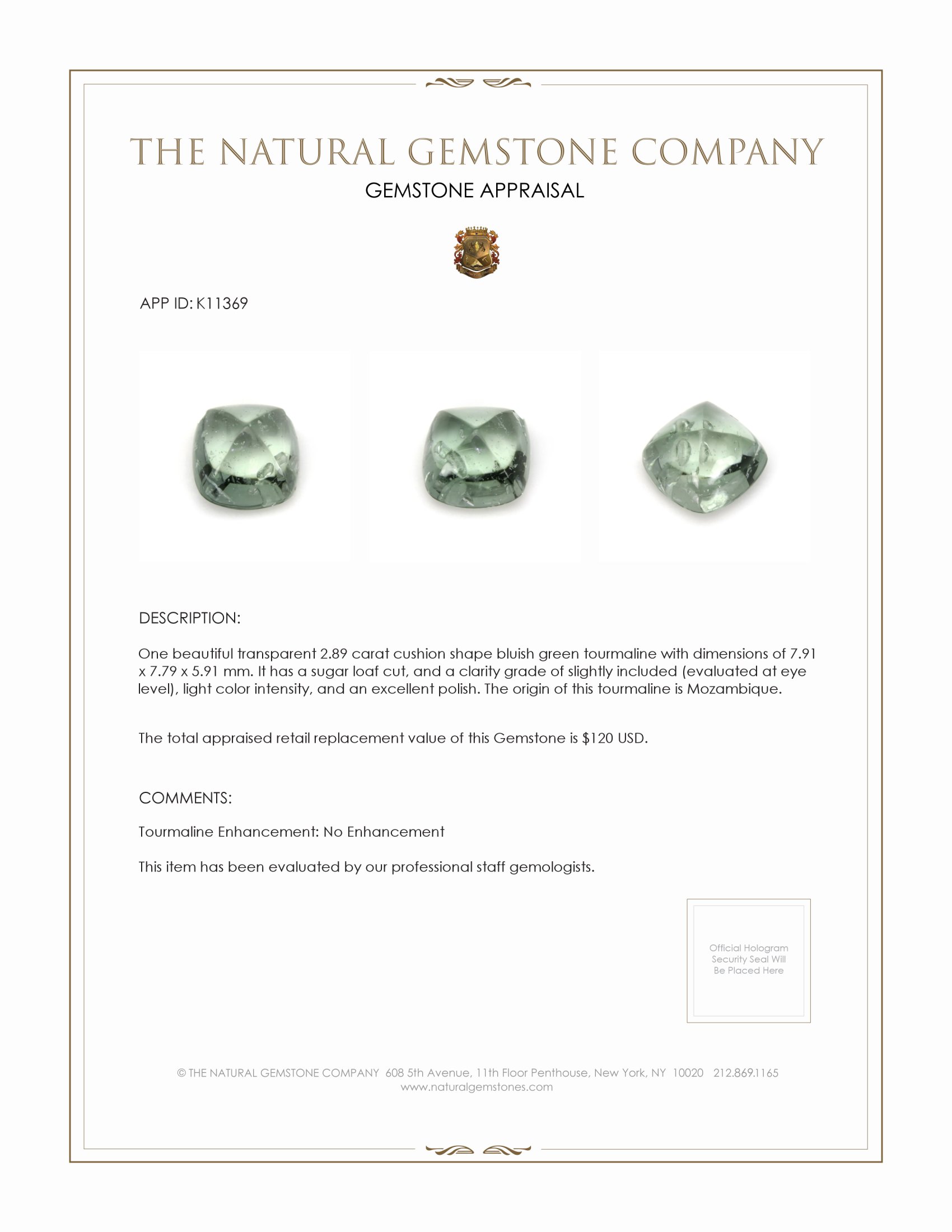 2.89 Ct. Cabochon Tourmaline from Mozambique