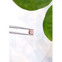 2.45 Ct. Tourmaline from Mozambique Life Style