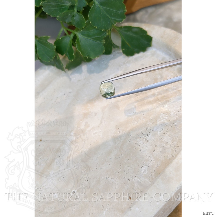 2.00 Ct. Cabochon Tourmaline from Mozambique