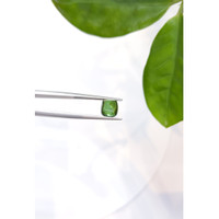 3.50 Ct. Cabochon Tourmaline from Mozambique Life Style