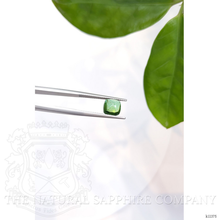 2.21 Ct. Cabochon Tourmaline from Mozambique