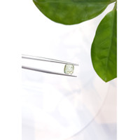 3.05 Ct. Cabochon Tourmaline from Mozambique Life Style