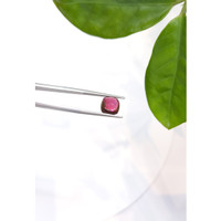 4.61 Ct. Cabochon Tourmaline from Mozambique Life Style