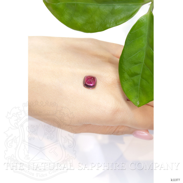 4.61 Ct. Cabochon Tourmaline from Mozambique