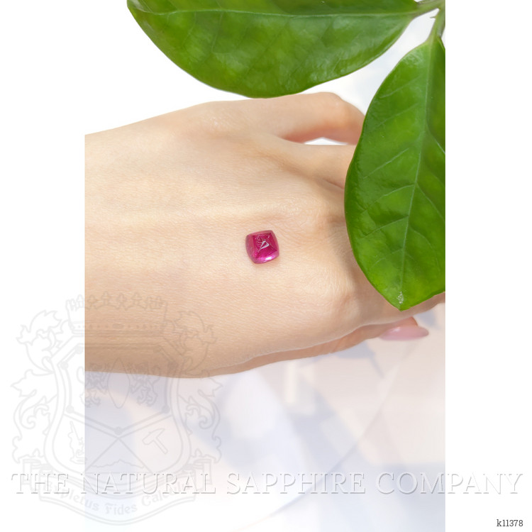 2.99 Ct. Cabochon Tourmaline from Mozambique