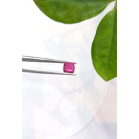 2.99 Ct. Tourmaline from Mozambique Life Style