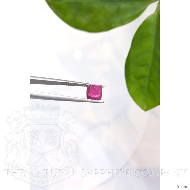 2.99 Ct. Cabochon Tourmaline from Mozambique