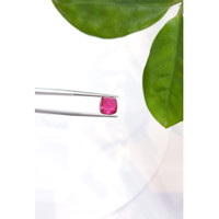 3.92 Ct. Cabochon Tourmaline from Mozambique Life Style