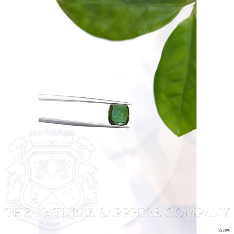 4.50 Ct. Cabochon Tourmaline from Mozambique