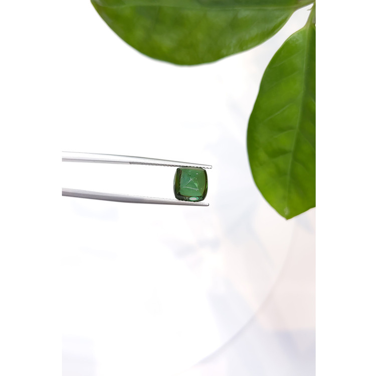 4.50 Ct. Cabochon Tourmaline from Mozambique