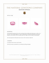 0.49 Ct. Tourmaline from Mozambique Appraisal