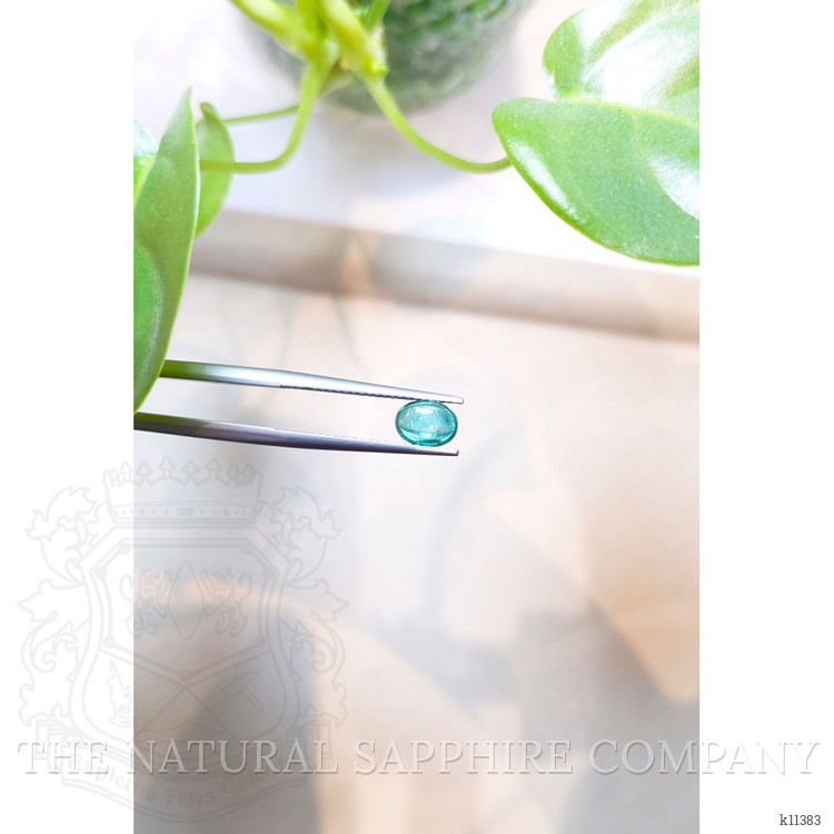 1.09 Ct. Cabochon Tourmaline from Mozambique