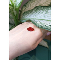 3.81 Ct. Fire Opal from Mexico Life Style