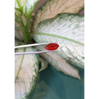 3.81 Ct. Fire Opal from Mexico Life Style