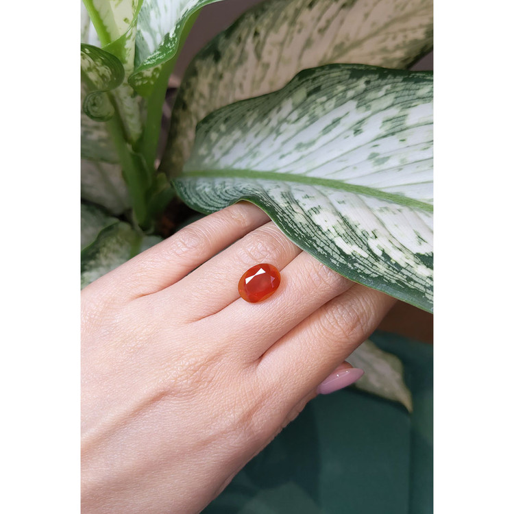 3.46 Ct. Fire Opal from Mexico