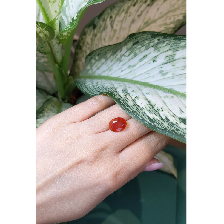 3.46 Ct. Fire Opal from Mexico