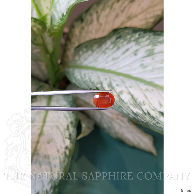 3.46 Ct. Fire Opal from Mexico