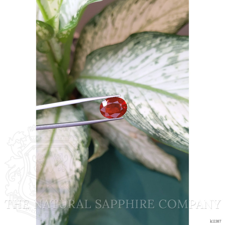 4.17 Ct. Fire Opal from Mexico