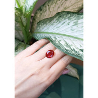 4.47 Ct. Fire Opal from Mexico Life Style