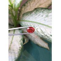 4.47 Ct. Fire Opal from Mexico Life Style