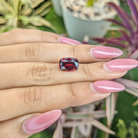5.10 Ct. Garnet from Ceylon (Sri Lanka) Life Style