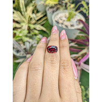 5.10 Ct. Garnet from Ceylon (Sri Lanka) Life Style