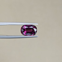 3.43 Ct. Garnet from Ceylon (Sri Lanka) Life Style