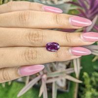 4.73 Ct. Garnet from Ceylon (Sri Lanka) Life Style