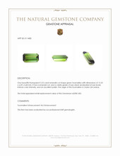 3.25 Ct. Green Tourmaline from Ceylon (Sri Lanka) Appraisal