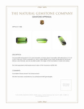 3.25 Ct. Tourmaline from Ceylon (Sri Lanka) Appraisal