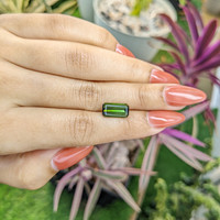 3.25 Ct. Tourmaline from Ceylon (Sri Lanka) Life Style