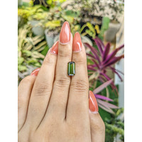 3.25 Ct. Tourmaline from Ceylon (Sri Lanka) Life Style