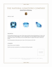 5.66 Ct. Swiss Blue Topaz from Ceylon (Sri Lanka) Appraisal