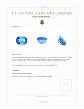 6.70 Ct. Topaz from Ceylon (Sri Lanka) Appraisal