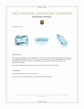 23.58 Ct. Greenish Blue Aquamarine from Brazil Appraisal