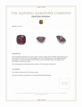 3.02 Ct. Tourmaline from Ceylon (Sri Lanka) Appraisal