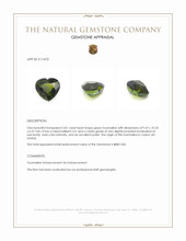 3.81 Ct. Green Tourmaline from Ceylon (Sri Lanka) Appraisal