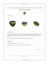 3.81 Ct. Tourmaline from Ceylon (Sri Lanka) Appraisal