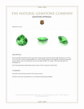 0.84 Ct. Tsavorite Garnet from Madagascar Appraisal