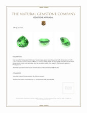 0.84 Ct. Tsavorite Garnet from Madagascar Appraisal