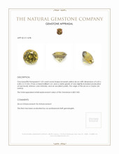 1.03 Ct. Zircon from Ceylon (Sri Lanka) Appraisal