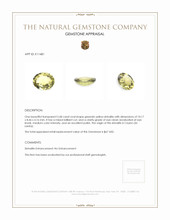 2.68 Ct. Sinhalite from Ceylon (Sri Lanka) Appraisal