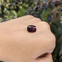 6.94 Ct. Garnet from Ceylon (Sri Lanka) Life Style