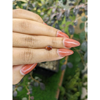0.89 Ct. Hessonite Garnet from Madagascar Life Style