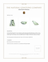 15.62 Ct. Beryl from Ceylon (Sri Lanka) Appraisal