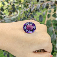 24.64 Ct. Amethyst from Ceylon (Sri Lanka) Life Style