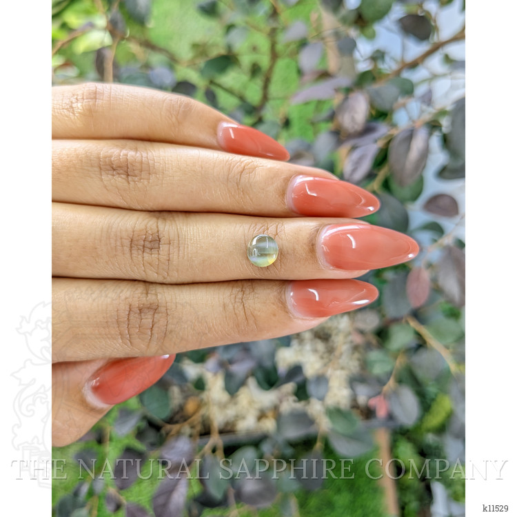 1.55 Ct. Cabochon Chrysoberyl from Ceylon (Sri Lanka)